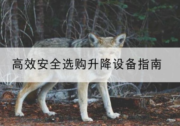 元阳升降货梯厂家推荐-*安全选购升降设备指南