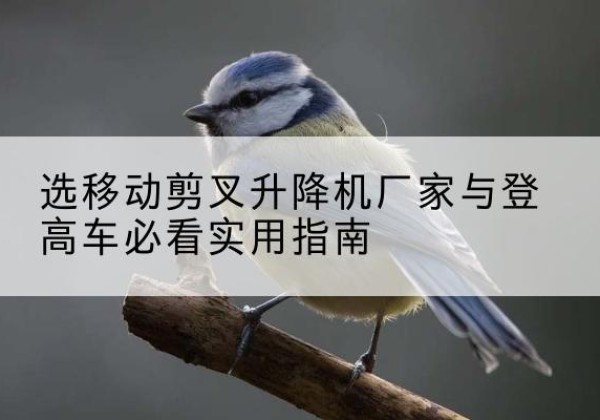 元阳电动升降机厂家-选移动剪叉升降机厂家与登高车必看实用指南